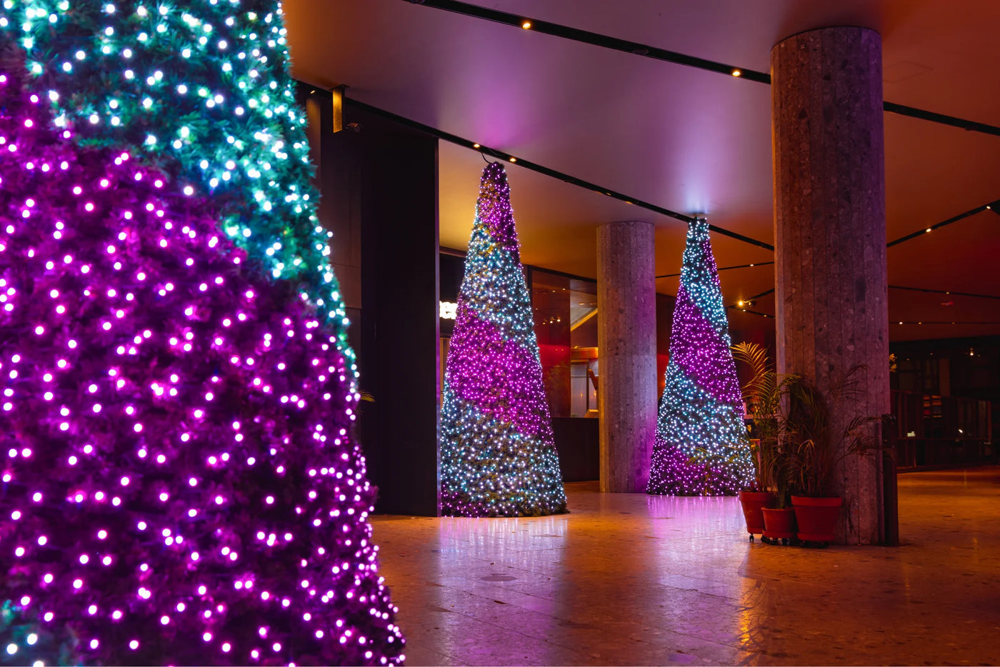 Weihnachtsinstallationen wie nie zuvor2