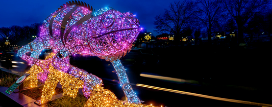 Iluminacje ogród botaniczny