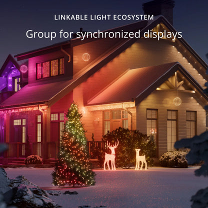 Twinkly 3D Rentier Hirschkuh